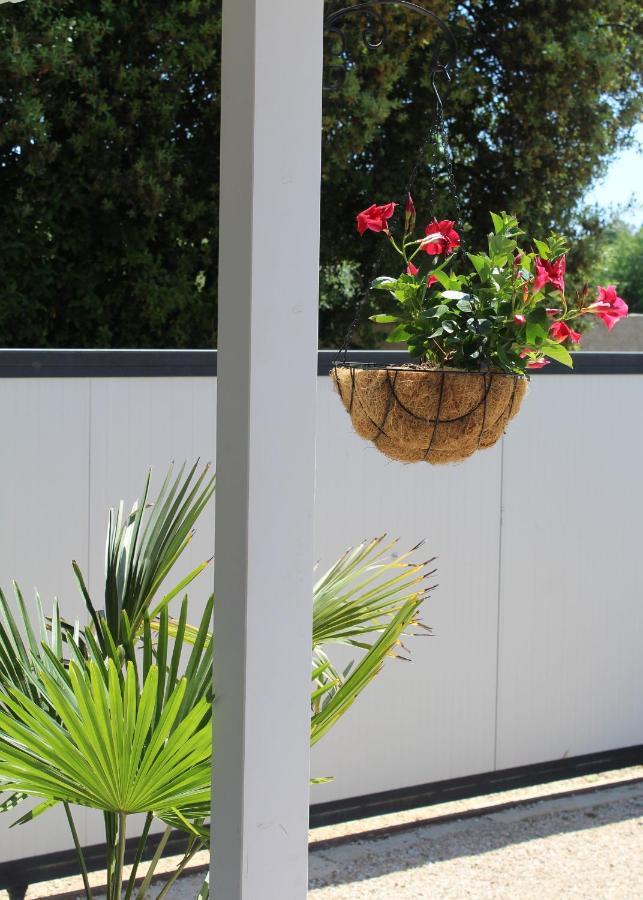 Oliven Garden Villa Rovinj Eksteriør billede