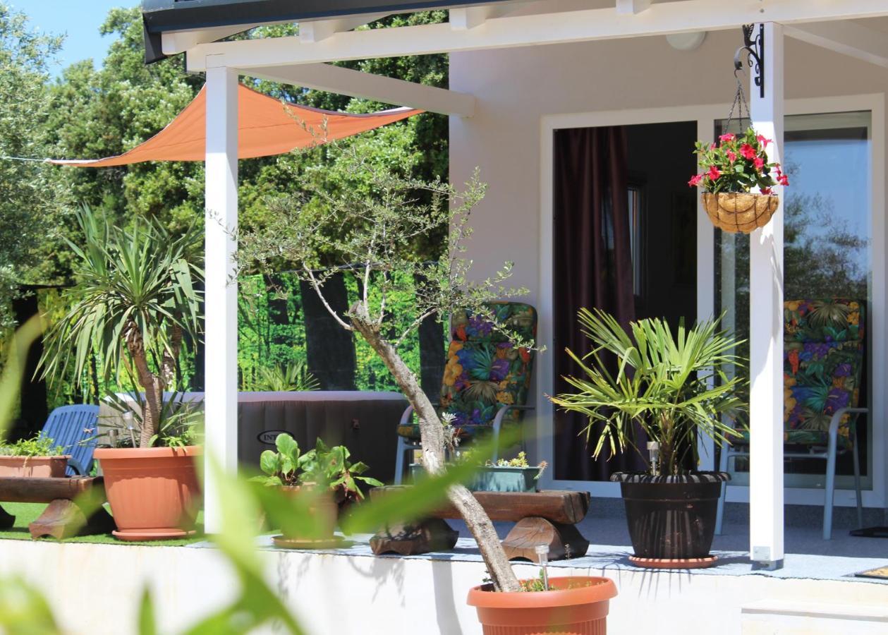 Oliven Garden Villa Rovinj Eksteriør billede