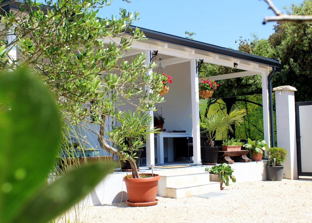Oliven Garden Villa Rovinj Eksteriør billede