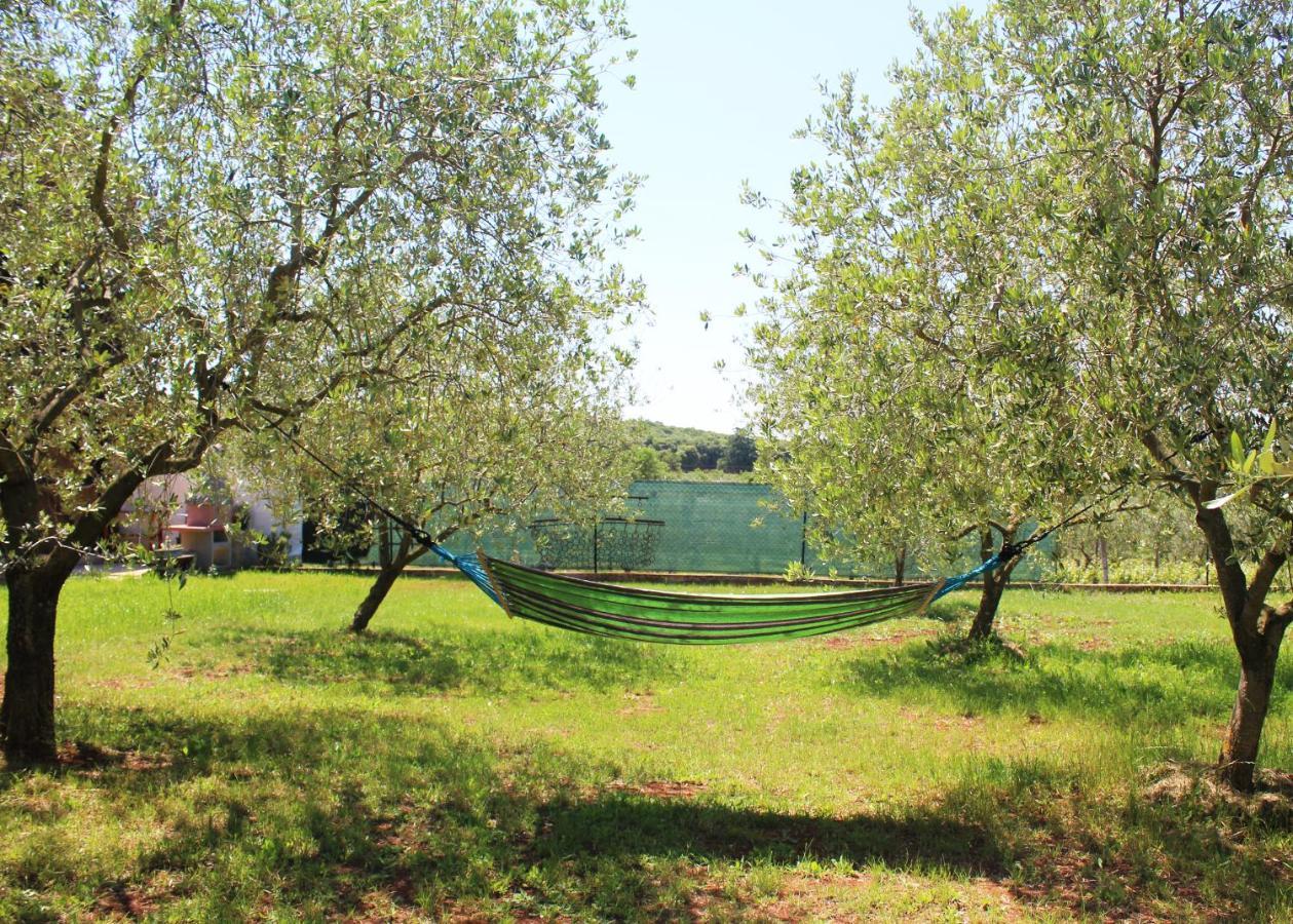 Oliven Garden Villa Rovinj Eksteriør billede