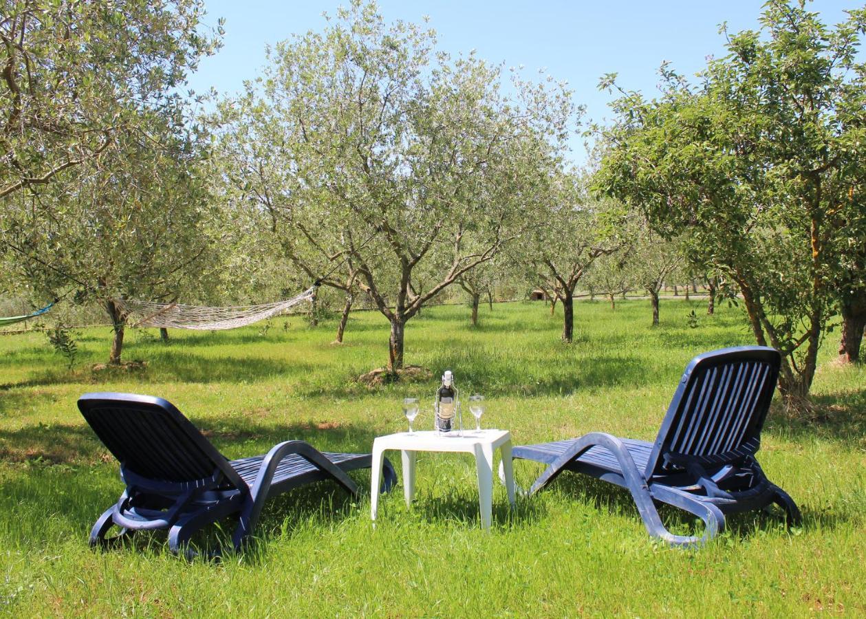Oliven Garden Villa Rovinj Eksteriør billede