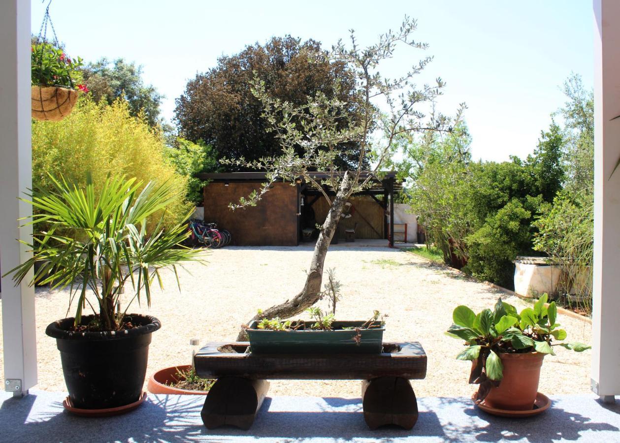 Oliven Garden Villa Rovinj Eksteriør billede
