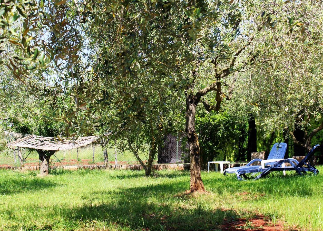 Oliven Garden Villa Rovinj Eksteriør billede