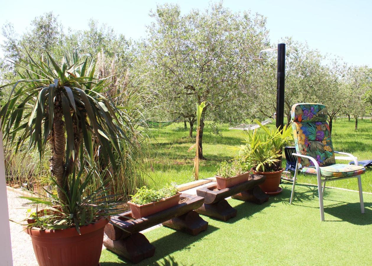 Oliven Garden Villa Rovinj Eksteriør billede